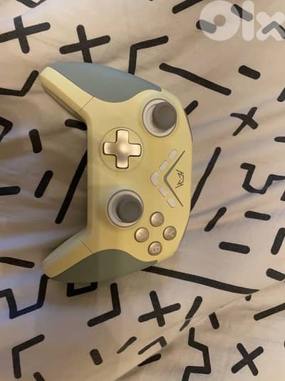 new nintendo switch controller