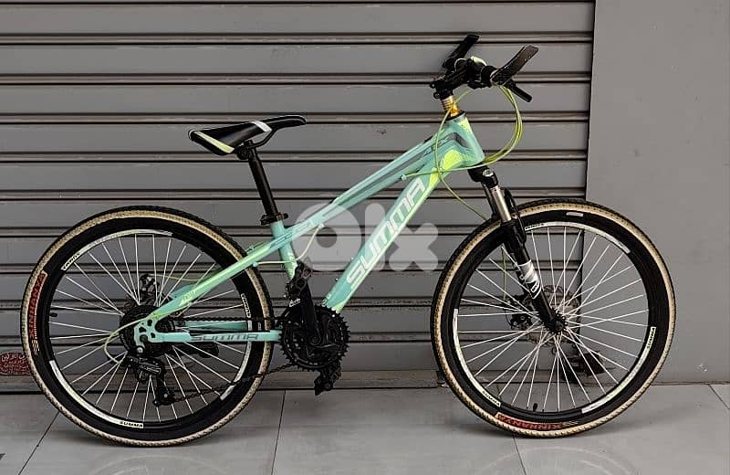 summa bicycle 24 1