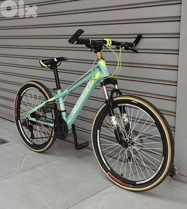 summa bicycle 24 2