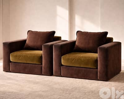 Elegant duo sofas