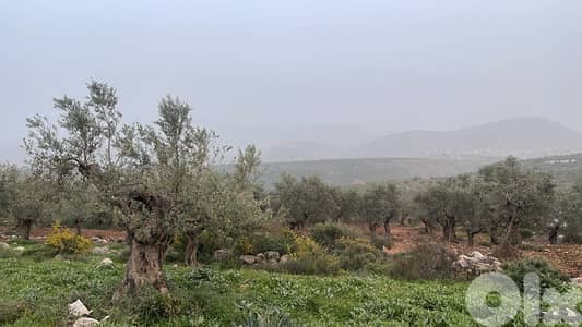 land for sale in bsarma