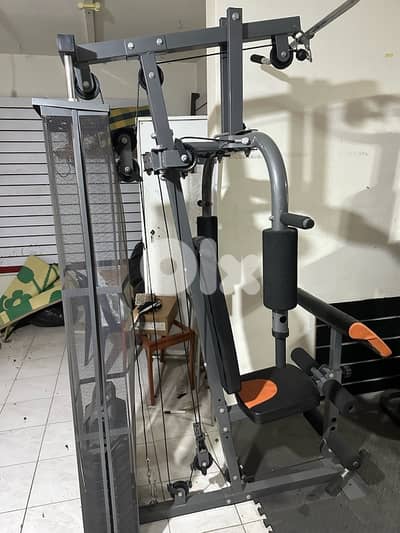 Homegym body sculpture