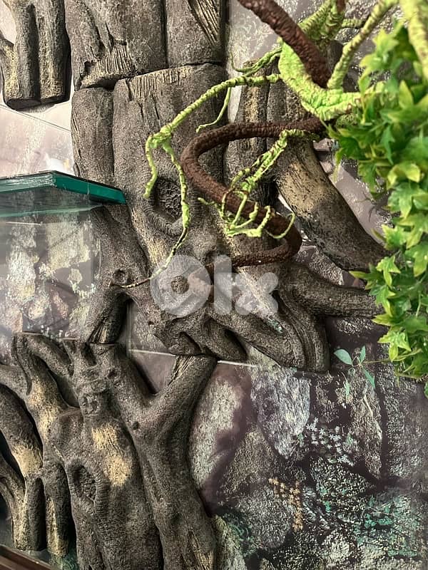 Aquarium Tank XLarge size for reptiles 2
