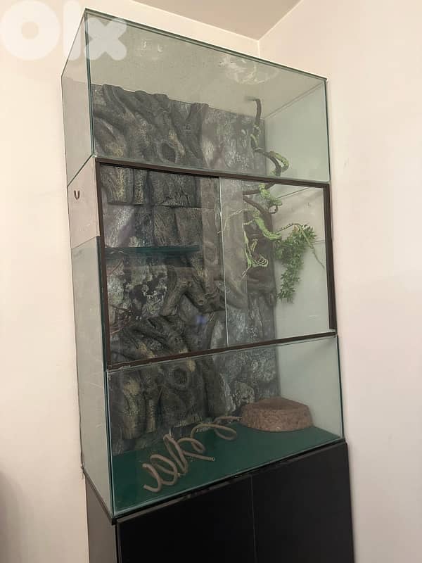 Aquarium Tank XLarge size for reptiles 8