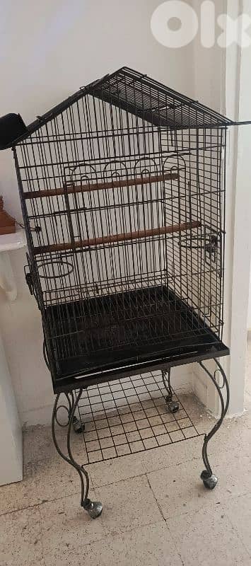 قفص ببغاء كبير