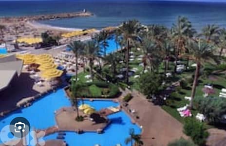 Cabin for rent - Special price