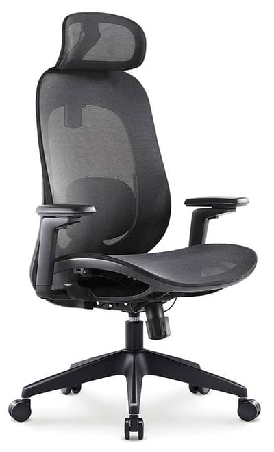 Titan Executive Ergonomic Chair