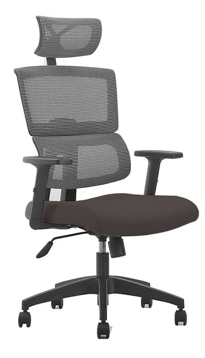 Leo Ergonomic Office Chair