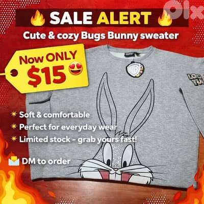 Looney Tunes Sweater