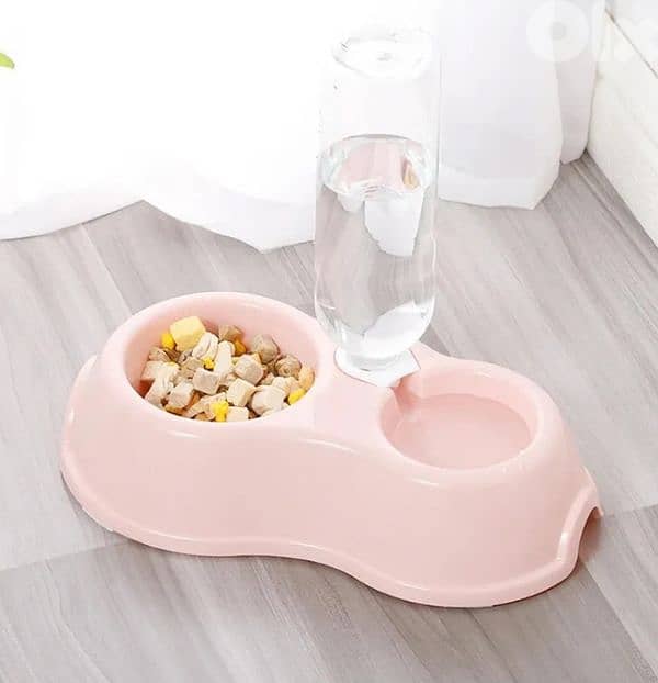 Cat Dog Bowl / with delivery 2