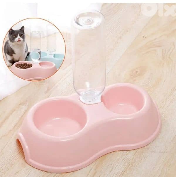 Cat Dog Bowl / with delivery 3