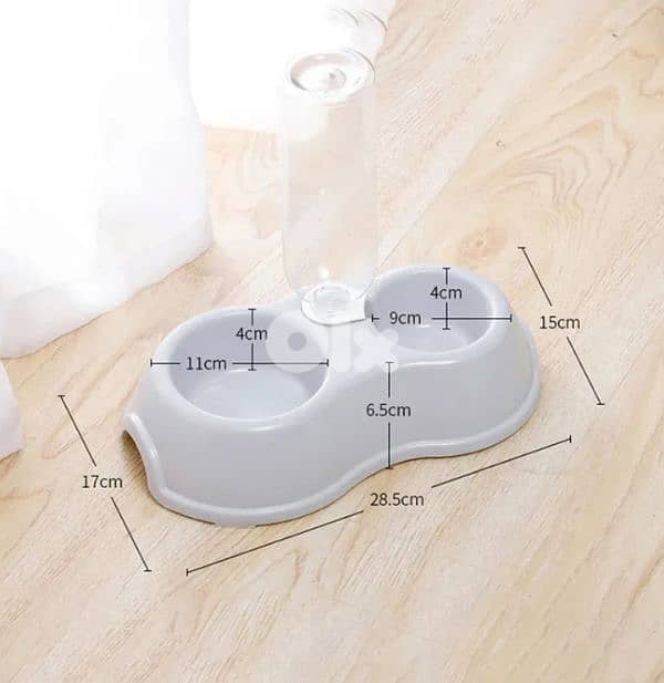 Cat Dog Bowl / with delivery 4