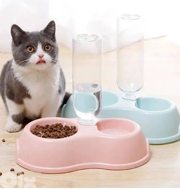 Cat Dog Bowl / with delivery 5