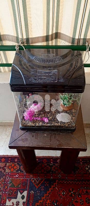 aquarium for sale