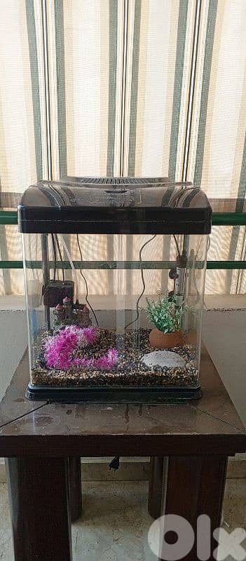 aquarium for sale 2