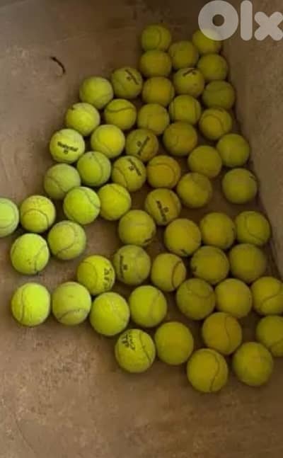 54 babolat tennis ball