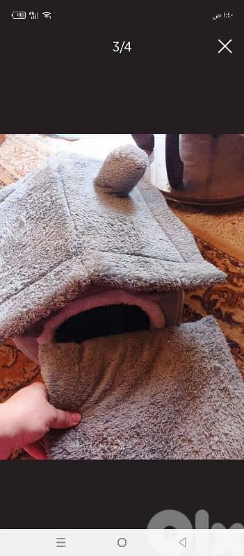 عين الرماني