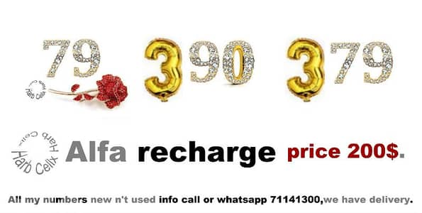 SPECIAL NUMBER & PRICE ALFA RECHARGE