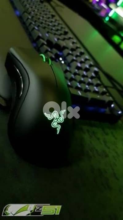 Razer DeathAdder Essential Mouse