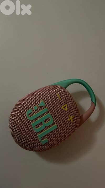 JBL Clip 5 Portable Bluetooth Speaker (Pink/Green)