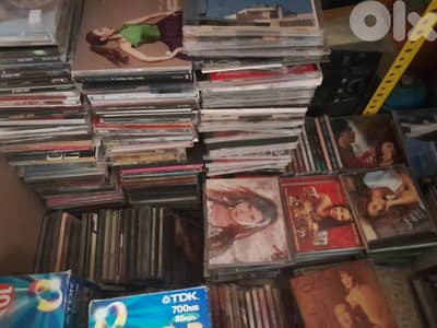 نوال الزغبي