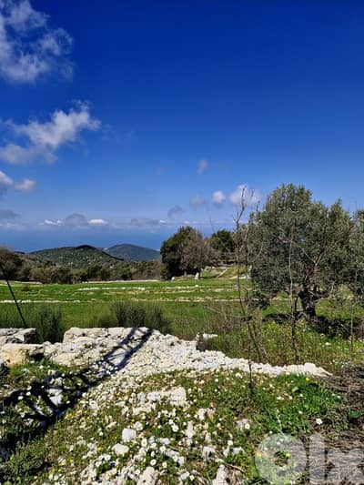 Land for sale in Mechmech