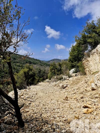 Land for sale in Mechmech