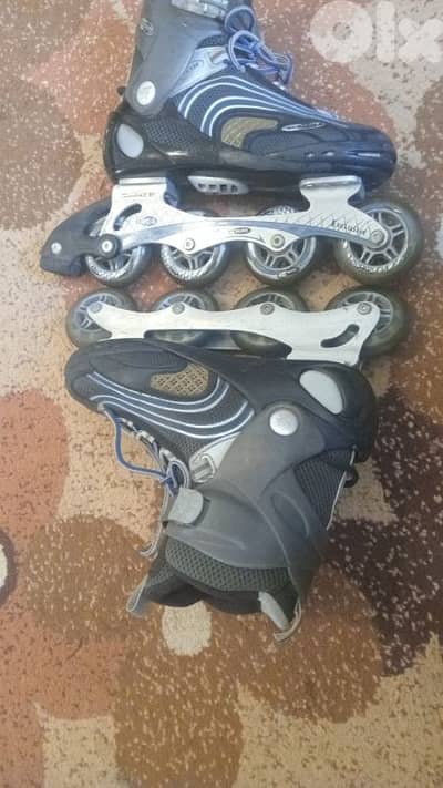 صيدا عين الحلوة