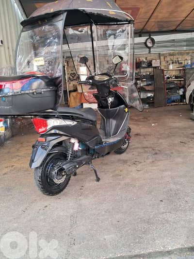 موتسيك لقطة كتير نضيفي