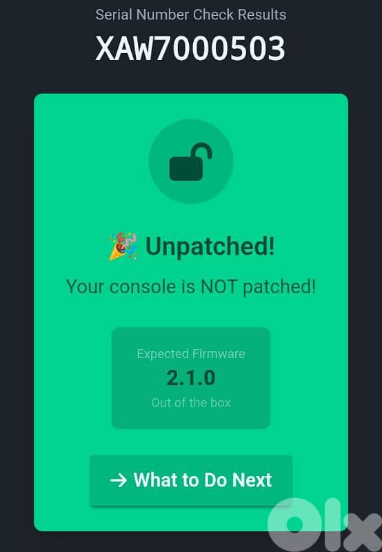 Unpatched Switch V1 (moddable) with accessories 4