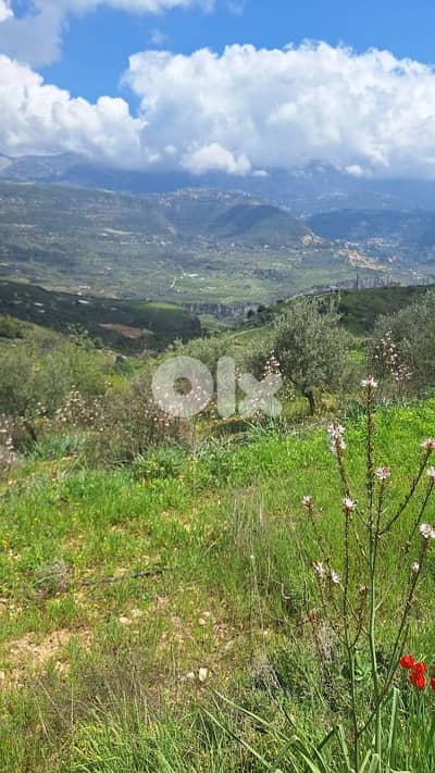 أرض للبيع في مزرعة الظهر  الشوف land for sale in chouf