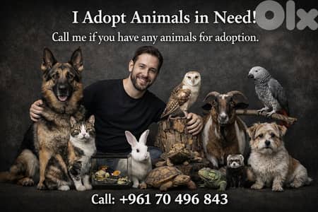 we adopt all pets نتبنى جميع الحيونات