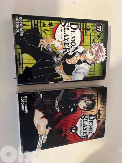 demon slayer manga volume 17 and 18
