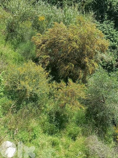 Land for sale in Bsalim