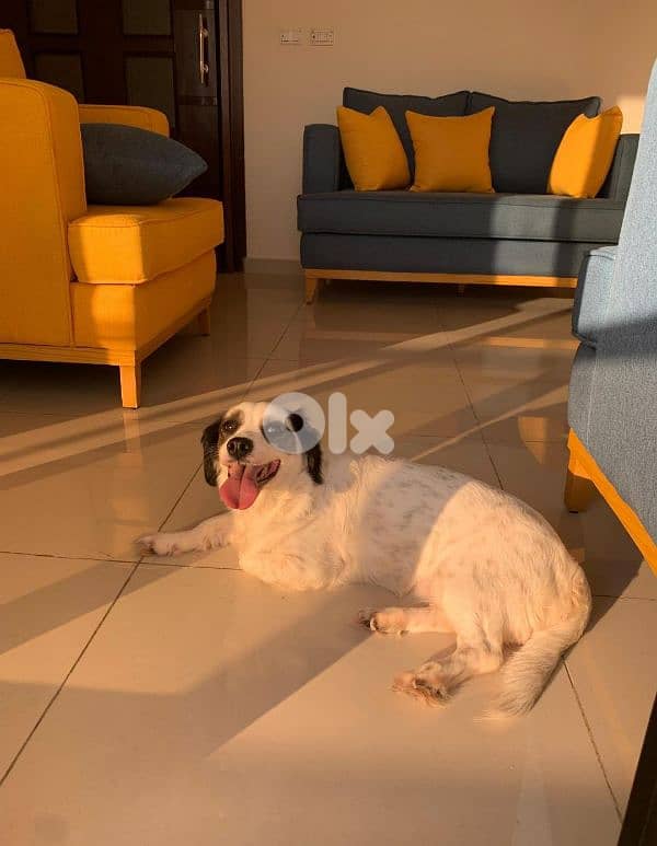 Salon new not used 1