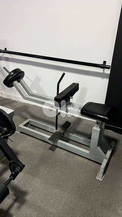 seated calves raises machine