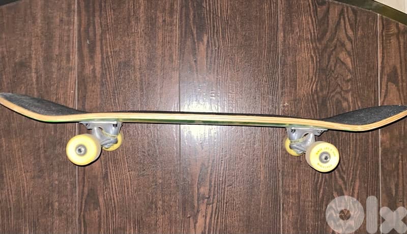 professional skateboard complete set 1