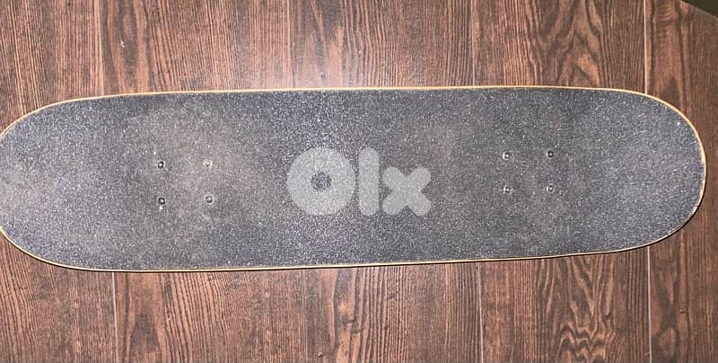 professional skateboard complete set 2