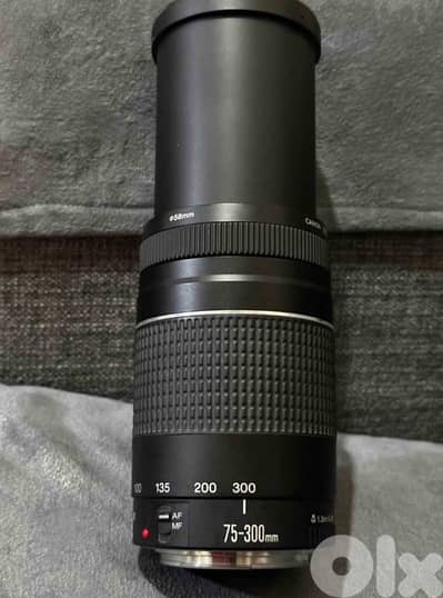 lense canon 75-300m