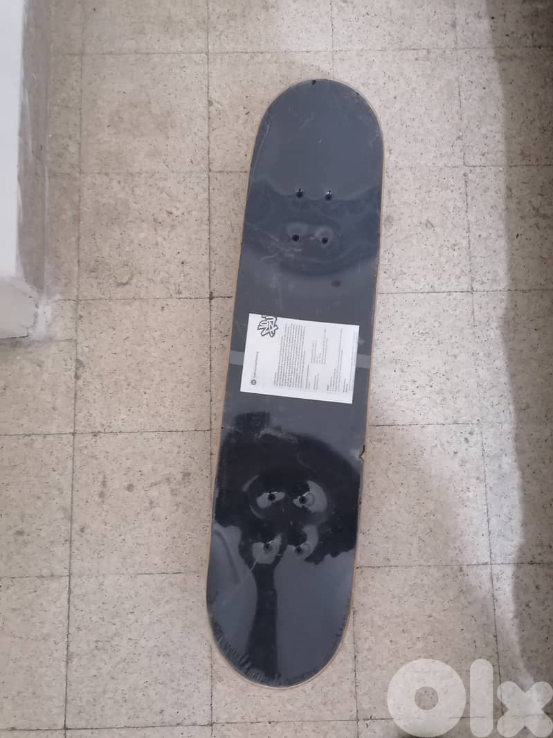 skateboard 1