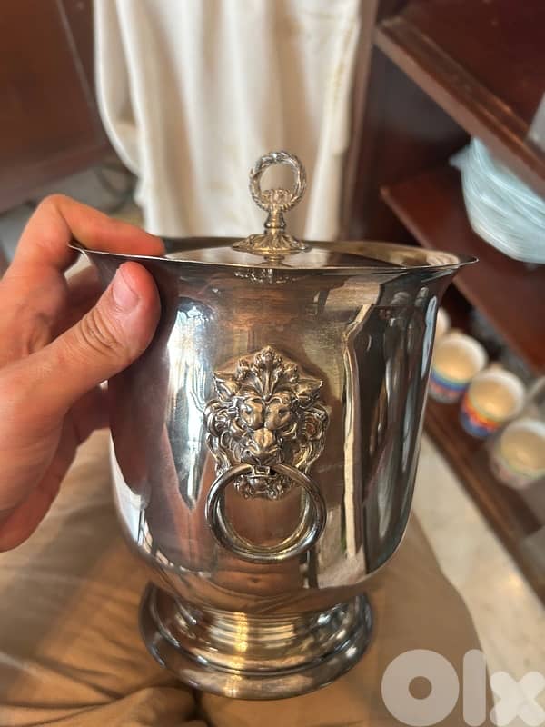 design and bucket for ice 1