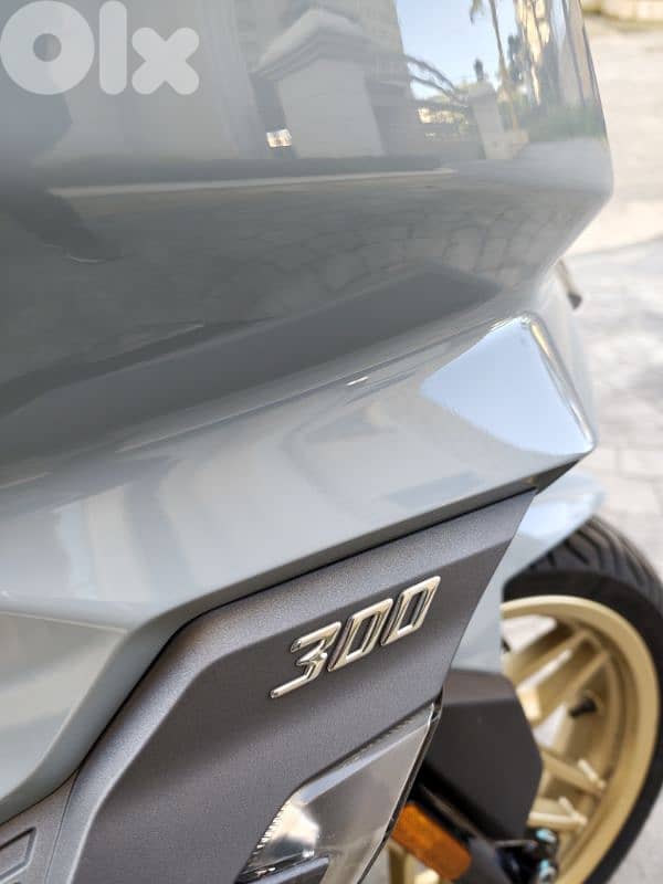 Sym Husky Adv 300 13