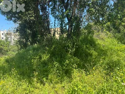 Land for Sale in Bouar 2000m² ONLY for 800K في البوار
