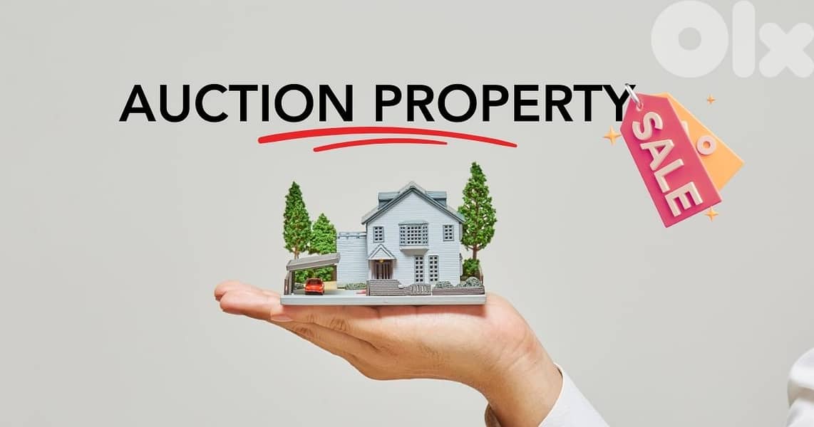 The Domain Name Properties. bid is for sale 2