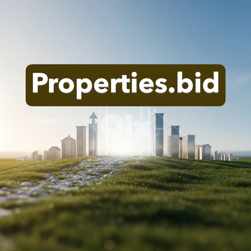 The Domain Name Properties. bid is for sale 3