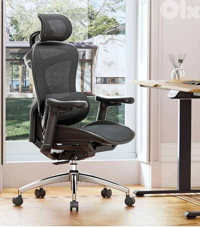 Sihoo C300 Ergonomic Office Chair with Advanced Back Support