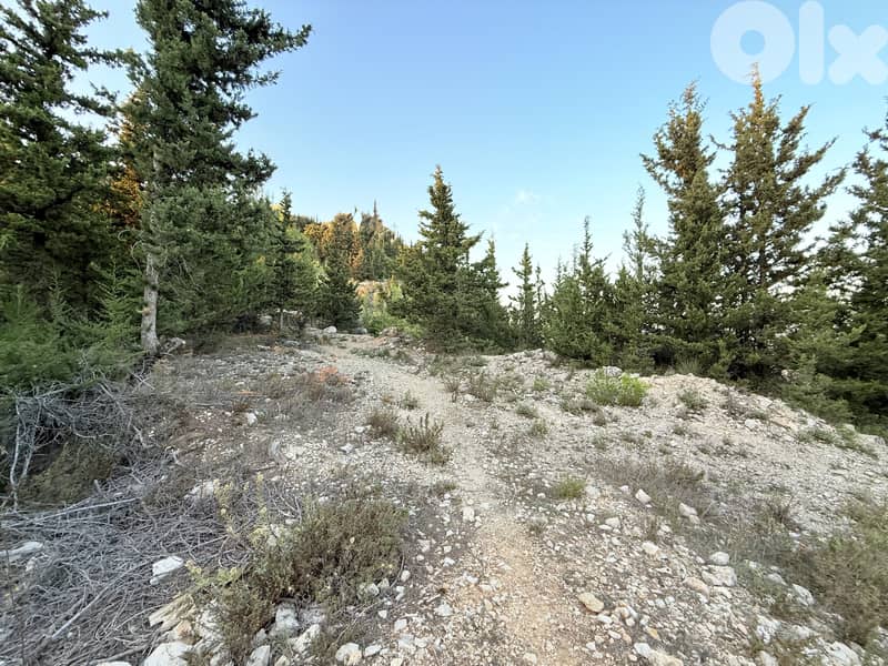 RWK510CA - Land for Sale in Ghbeleh with an Amazing View! 1