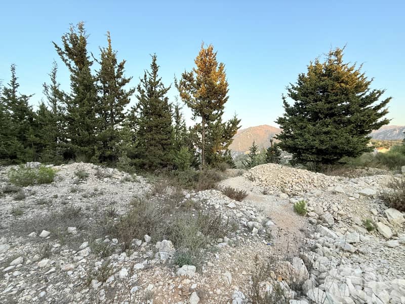 RWK510CA - Land for Sale in Ghbeleh with an Amazing View! 3
