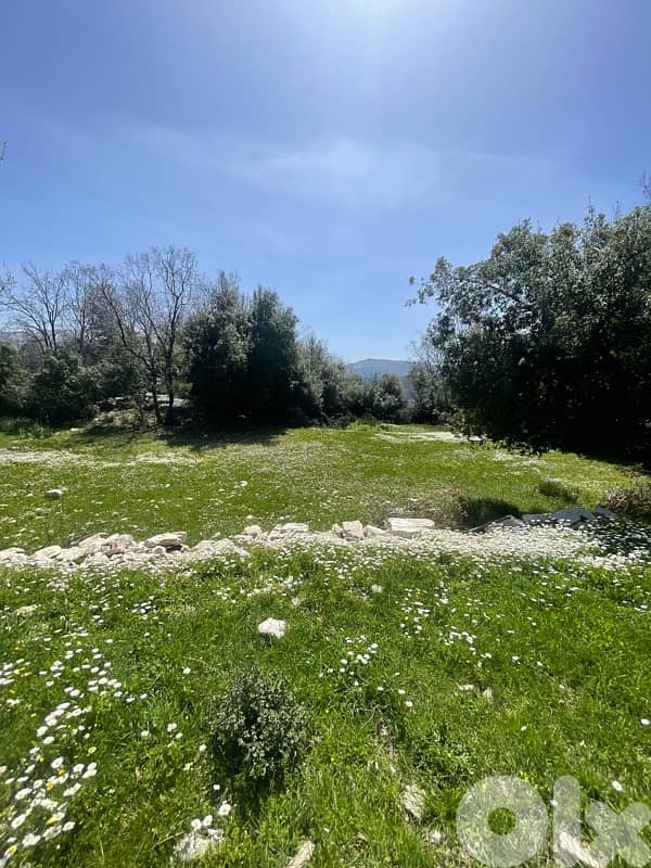 1540 Sqm Land for sale in Kfardebian Vill zone -Flat 1