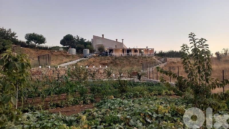 Land For Sale Zaarour 9
